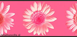 behangrand bloemen behangrand bloemen