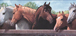 behangrand paarden behangrand paarden