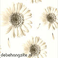 gerera behang gerbera behang