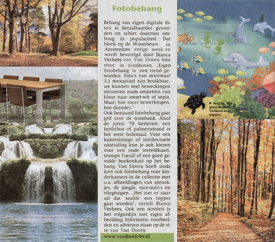 eindhovens dagblad